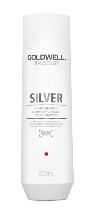 Goldwell Dualsenses Silver Shampoo.jpg