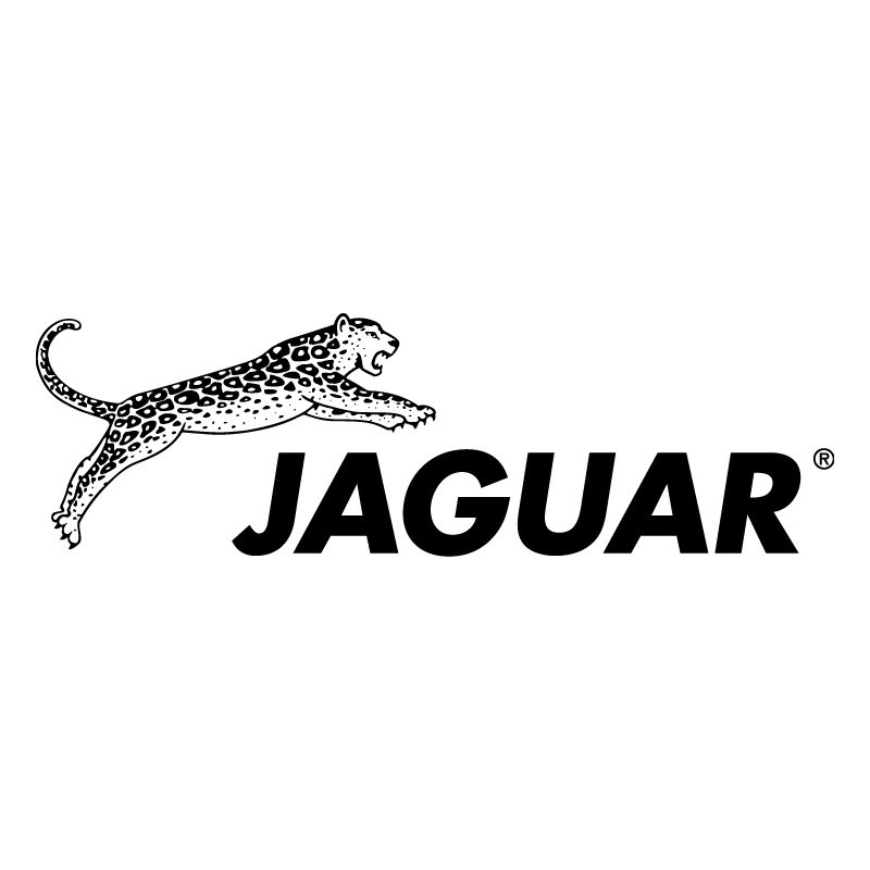 Kammset Carbon Jaguar - 9 Profi Friseurkämme aus Karbon